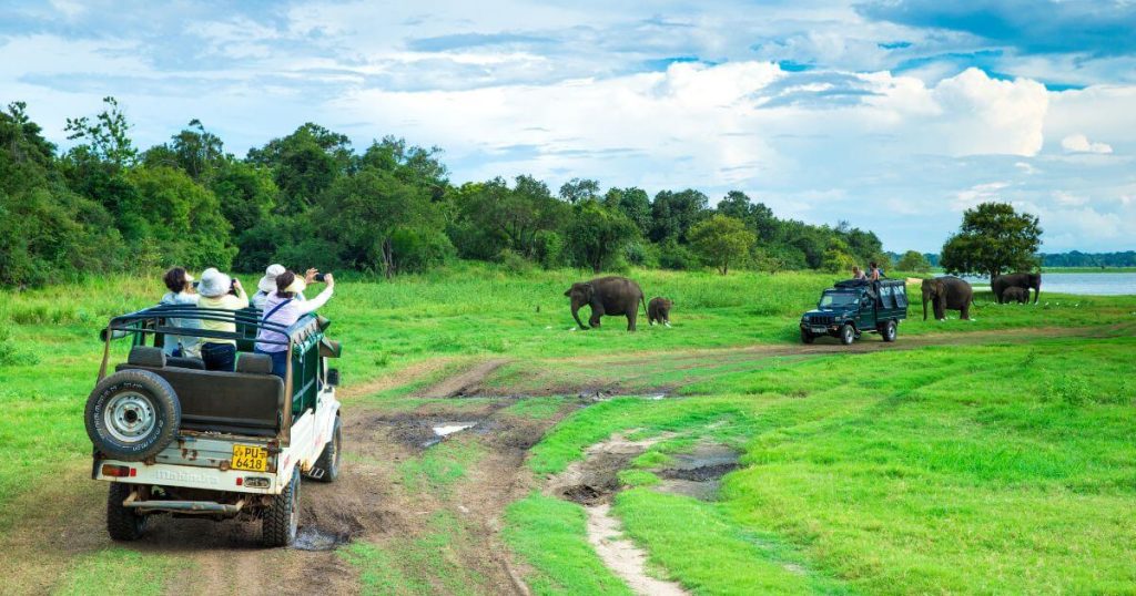 圖片展示了一群遊客乘坐吉普車進行國家公園探險，在草原上觀察大象，捕捉壯觀的自然風光。