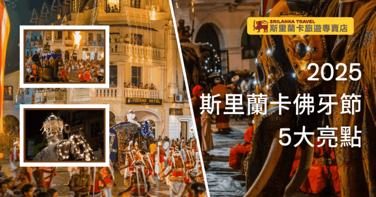 這張圖片展示了斯里蘭卡科倫坡佛牙節（Esala Perahera）的一些精彩瞬間。圖片中的場景包括壯麗的遊行隊伍、華麗的象徵性動物裝飾及燈光照耀下的神聖氛圍，這些都突顯了斯里蘭卡傳統節日的熱鬧與神聖。特別是節日期間，成千上萬的舞者、騎象者及民眾一起參與，讓人感受到該國深厚的宗教文化與歷史背景。