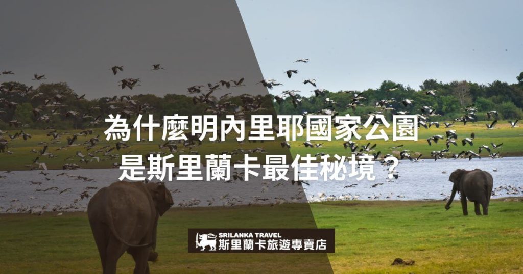 圖片展示了明內里耶國家公園的壯麗自然景觀,一頭大象站在草地上,遠處成群的鳥兒在天空中飛舞。公園背景是廣闊的湖泊和青翠的樹林,畫面呈現出一種寧靜的氛圍,象徵著野生動物和自然環境的和諧共存,吸引著遊客前來探索斯里蘭卡的最佳自然秘境。