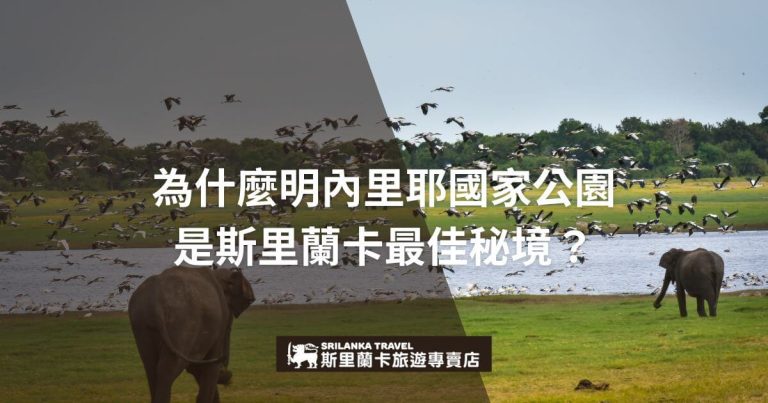 圖片展示了明內里耶國家公園的壯麗自然景觀，一頭大象站在草地上，遠處成群的鳥兒在天空中飛舞。公園背景是廣闊的湖泊和青翠的樹林，畫面呈現出一種寧靜的氛圍，象徵著野生動物和自然環境的和諧共存，吸引著遊客前來探索斯里蘭卡的最佳自然秘境。