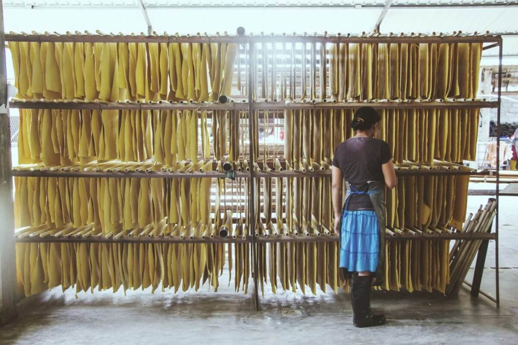 一名工人在整理著晾掛於架子上的大象糞紙，這些大象糞紙正在進行乾燥過程。