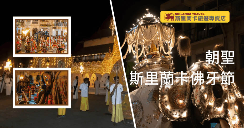 主圖展示斯里蘭卡佛牙節(Esala Perahera)夜間遊行的盛大現場,華麗裝飾的大象、傳統服飾的舞者與繽紛燈飾交織,象徵當地最盛大的佛教慶典。左側以小圖呈現鼓隊與遊行隊伍細節,右側為佛牙舍利供奉與大象隊伍,帶給讀者強烈的現場感。適合用於宗教節慶介紹、佛教旅遊推薦或斯里蘭卡旅遊主題文章。