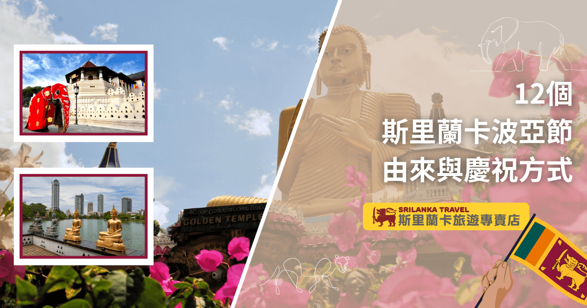 圖片左側以藍天白雲為底，兩張小照片分別展示康提佛牙寺與可倫坡湖畔佛像，凸顯斯里蘭卡重要宗教與城市景點。右側主視覺為丹布拉金佛像和花卉，搭配手持斯里蘭卡國旗與線條描繪的大象、獅子，呼應節慶氛圍。右上角以醒目數字「12個」強調波亞節數量，下方大標「斯里蘭卡波亞節由來與慶祝方式」清楚呈現主題。下方附「斯里蘭卡旅遊專賣店」品牌標誌，增添專業可信度。此圖適合作為節慶由來、慶祝方式、旅遊懶人包、宗教文化介紹等主題首圖使用。