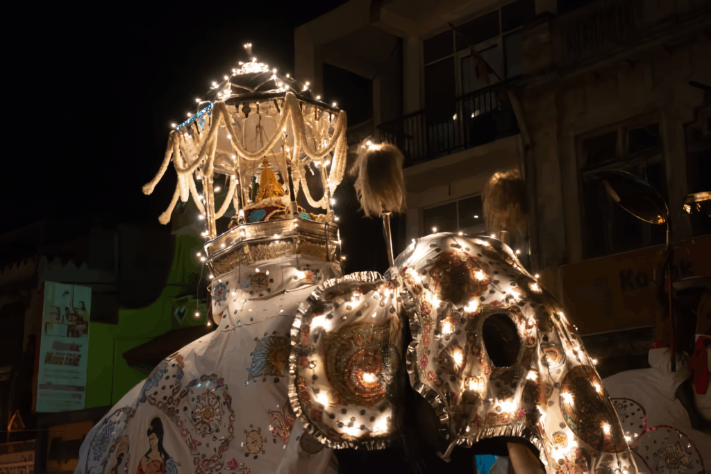 這張照片清楚捕捉斯里蘭卡佛牙節（Esala Perahera）夜間遊行中，被燈光與華麗布幔包覆的大象形象。大象背負象徵佛牙舍利的神轎，車體與象身布滿燈飾與傳統繡紋，強調莊嚴氣氛與節慶的神聖意義。這張圖片常用於宗教節慶介紹、斯里蘭卡文化旅遊文章，讓讀者直觀感受現場的尊貴與盛大。