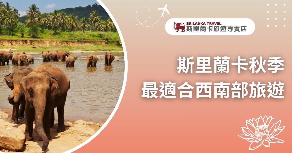 圖片展示斯里蘭卡的秋季旅遊景點，幾隻大象在河邊玩耍，背景是棕櫚樹林與藍天。