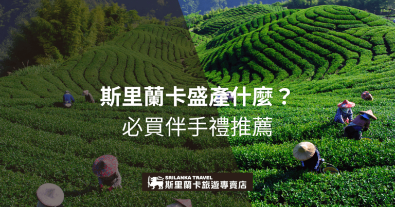 圖片展示斯里蘭卡翠綠的茶園，茶農正辛勤採摘新鮮茶葉。斯里蘭卡以高品質紅茶聞名，圖中文字強調當地盛產的特色產品，並推薦遊客必買的伴手禮，如錫蘭紅茶和當地特產。