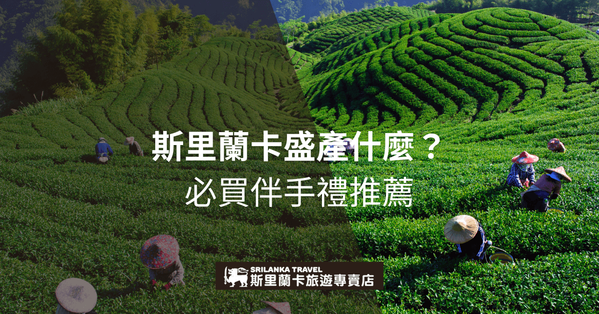 圖片展示斯里蘭卡翠綠的茶園，茶農正辛勤採摘新鮮茶葉。斯里蘭卡以高品質紅茶聞名，圖中文字強調當地盛產的特色產品，並推薦遊客必買的伴手禮，如錫蘭紅茶和當地特產。