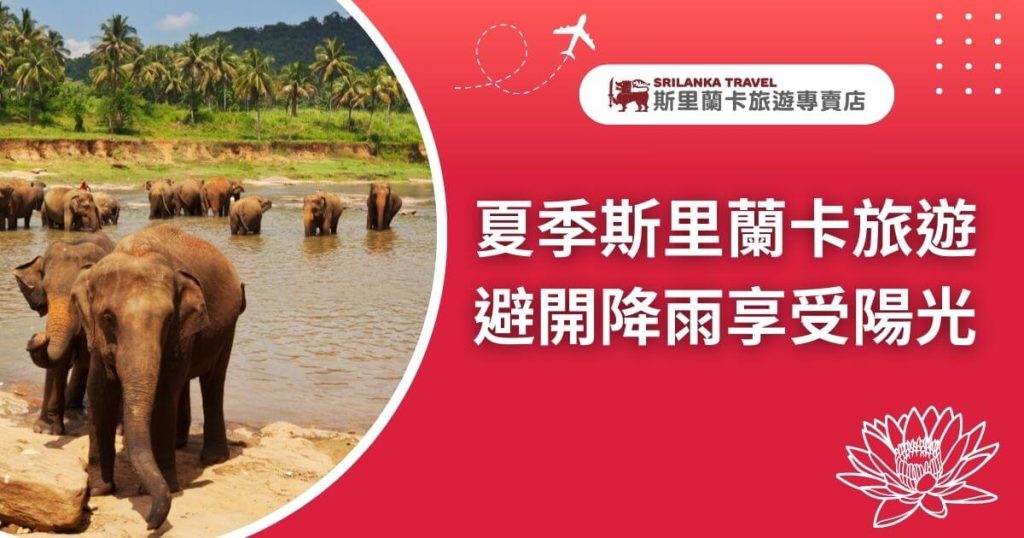 一群大象在斯里蘭卡的河邊,背景是椰子樹和晴朗的天空,強調夏季旅行的愉快體驗。