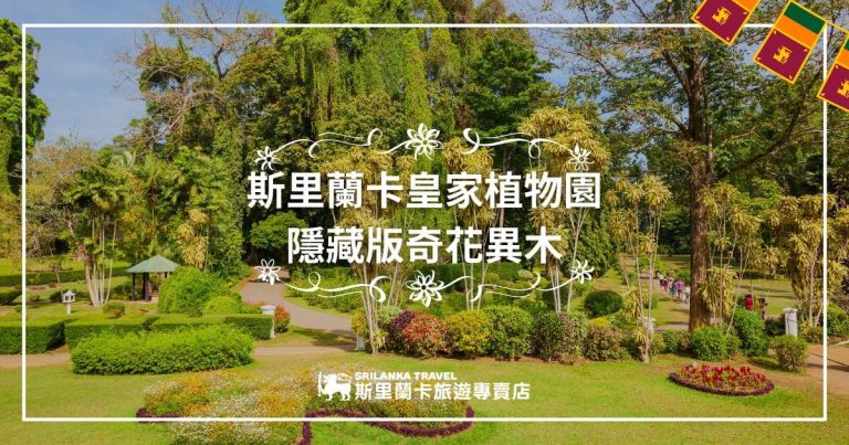 圖片展示了斯里蘭卡皇家植物園的一部分，充滿了綠意盎然的樹木和修剪整齊的花園。不同種類的植物分布在園內，遊客們沿著小徑漫步，欣賞園內的自然美景。整體氛圍呈現出一種寧靜的感覺，並突出該植物園內許多隱藏版的奇花異木。