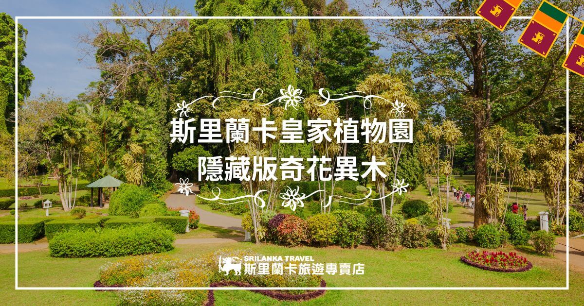 圖片展示了斯里蘭卡皇家植物園的一部分，充滿了綠意盎然的樹木和修剪整齊的花園。不同種類的植物分布在園內，遊客們沿著小徑漫步，欣賞園內的自然美景。整體氛圍呈現出一種寧靜的感覺，並突出該植物園內許多隱藏版的奇花異木。