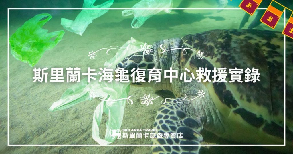 圖片展示了一隻海龜在海中游動，周圍漂浮著綠色塑膠袋，突顯了海洋污染對海洋生物的危害。此畫面強調了斯里蘭卡海龜復育中心的救援工作，喚起人們對海洋環保和動物保護的關注。