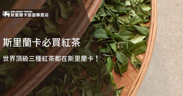 一張展示斯里蘭卡新鮮採摘的茶葉正在竹簍中晾曬的圖片，標題說明斯里蘭卡是購買世界頂級紅茶的必選之地。
