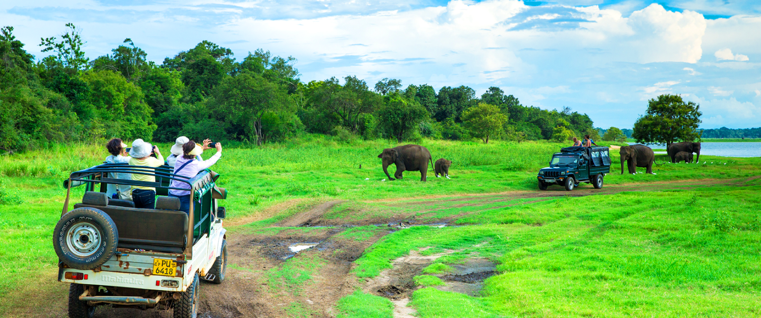09 1 米內日雅 1672x700