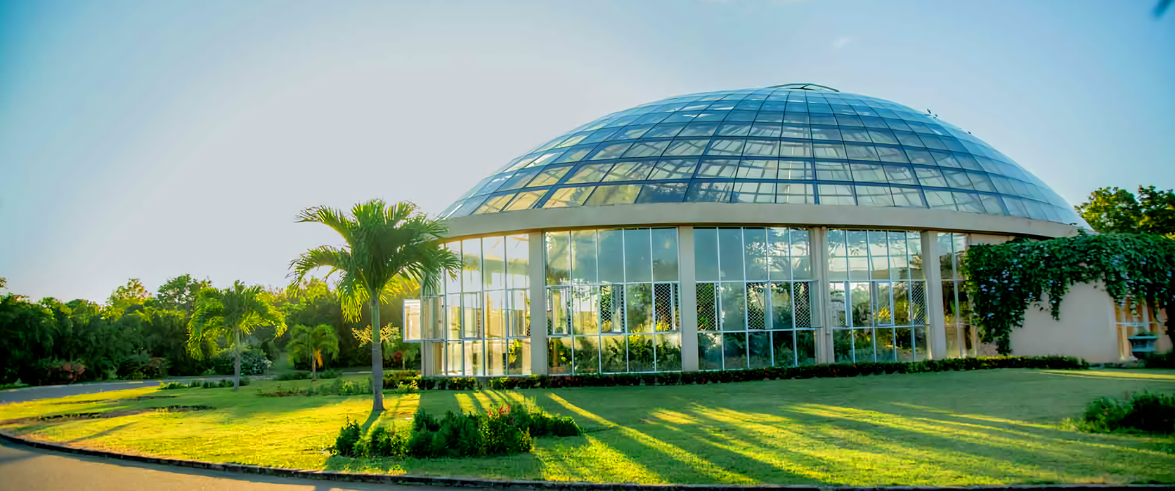 圖片展示了皇家植物園的玻璃圓頂建築，周圍環繞著綠意盎然的草坪與棕櫚樹。陽光灑在建築物及草地上，形成了柔和的光影效果，呈現出自然與現代設計的完美結合。