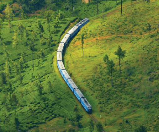 D5 3