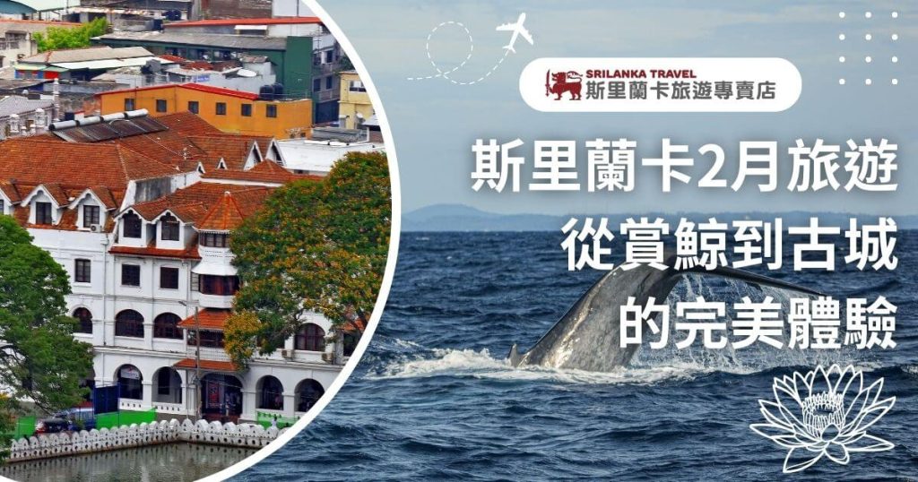 圖片中左側展示了斯里蘭卡的古城建築,右側則是湛藍的大海與賞鯨畫面,呈現出斯里蘭卡2月的旅遊亮點,吸引遊客體驗從古城文化到海洋生物的豐富行程。