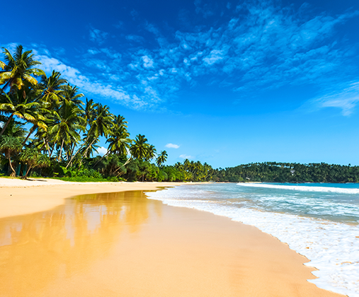 每日行程 4 507x420