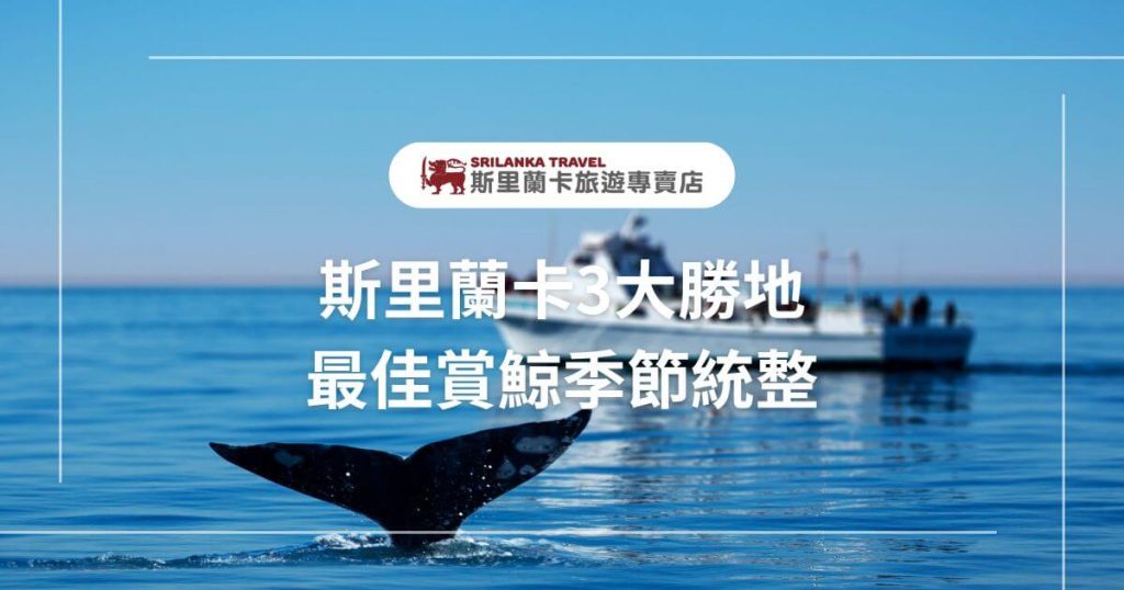 圖片以海面上的船隻和鯨魚尾巴為主視覺,標題寫著「斯里蘭卡3大勝地最佳賞鯨季節統整」,背景為湛藍的海天景色,突出旅遊資訊的專業性。