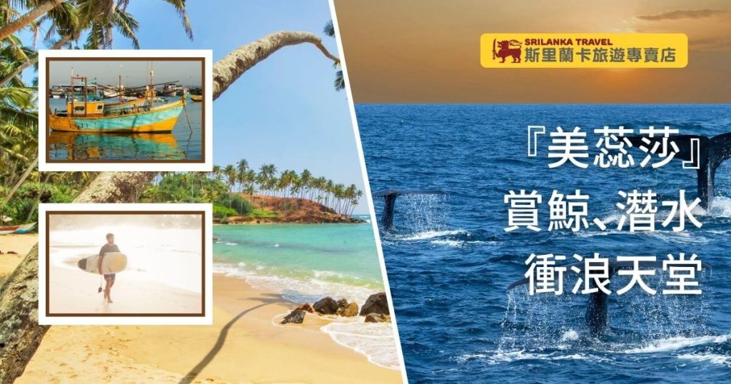 圖片分為三部分：左上角顯示停泊的漁船，右側呈現海洋中賞鯨活動的瞬間，底部則是陽光沙灘與衝浪者的動態場景，充分展現美蕊莎作為斯里蘭卡最佳海洋旅遊目的地的吸引力。