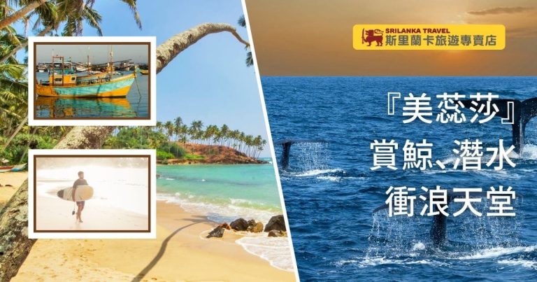 圖片分為三部分：左上角顯示停泊的漁船，右側呈現海洋中賞鯨活動的瞬間，底部則是陽光沙灘與衝浪者的動態場景，充分展現美蕊莎作為斯里蘭卡最佳海洋旅遊目的地的吸引力。