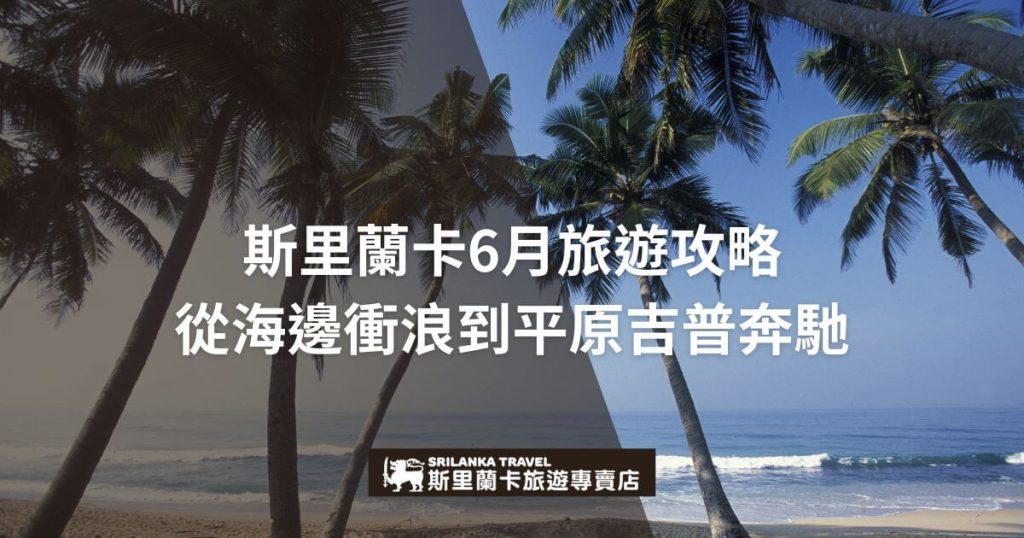 該圖片展示了斯里蘭卡的熱帶海灘,椰子樹影投在白沙灘上,遠處是湛藍的海洋。文字引導讀者了解6月斯里蘭卡多樣化的旅遊活動。