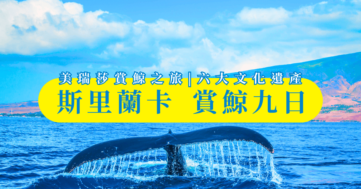 斯里蘭卡賞鯨9日- 美瑞莎賞鯨之旅+六大文化遺產，超超超值之旅