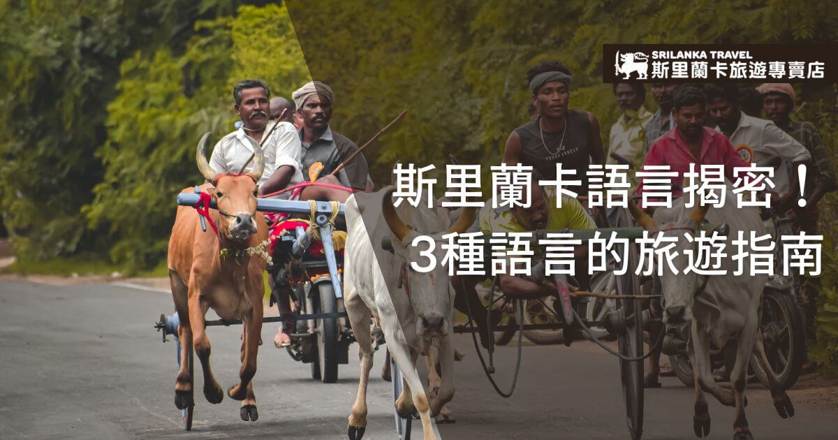 圖片展示斯里蘭卡當地人搭乘牛車的場景，右側文字強調該國三種主要語言的旅遊指南，具有文化特色。
