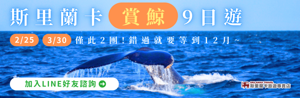 一隻鯨魚尾巴露出水面，背景為廣闊的藍色海洋和夕陽，標示「斯里蘭卡賞鯨9日遊」。提供2月25日與3月30日兩個出團時間，並提示加入LINE好友進行諮詢。