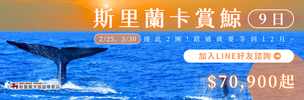 展示鯨魚尾巴在海面上的動態圖像，配合標語「斯里蘭卡賞鯨9日遊」，同時標示「僅此2團」，並強調行程若錯過需等到12月。