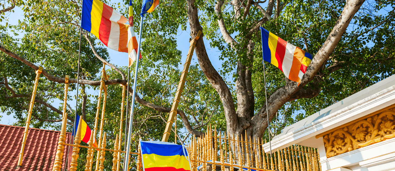 每日行程(賞鯨) 2 1540x670