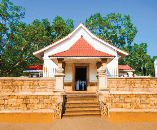 每日行程(賞鯨) D2 2 507x420