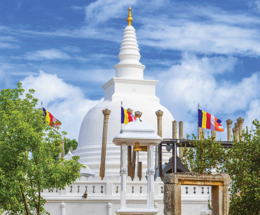 每日行程(賞鯨) D2 4 507x420