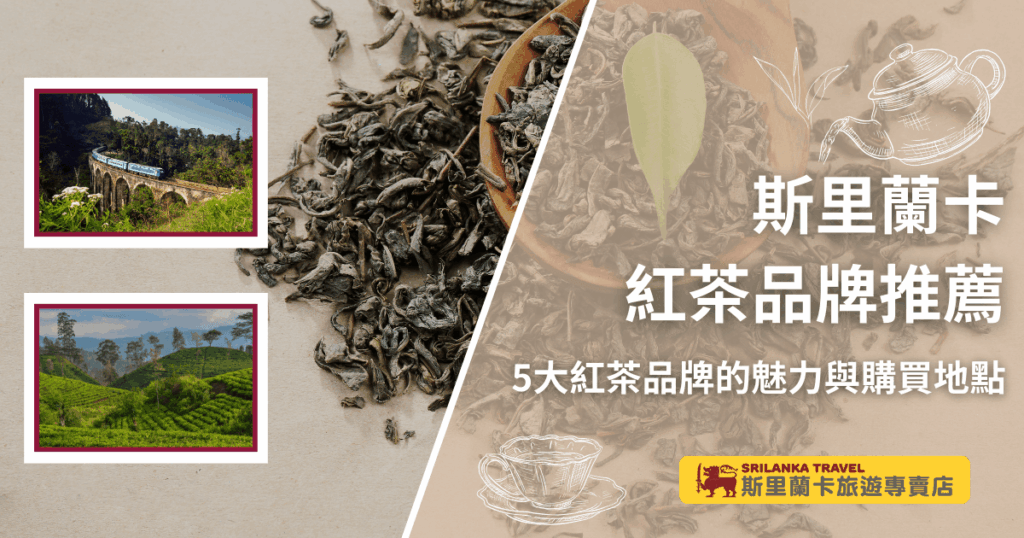 這張首圖以茶葉為背景主視覺,搭配斯里蘭卡著名的九拱橋火車與茶園景致,呈現斯里蘭卡紅茶的產地風情。右側以茶壺與茶杯插畫增添氛圍,標題標示「斯里蘭卡紅茶品牌推薦」,強調介紹5大品牌與購買地點。