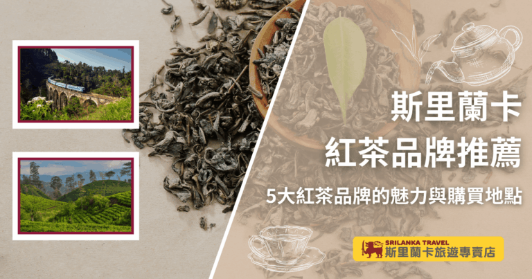 這張首圖以茶葉為背景主視覺，搭配斯里蘭卡著名的九拱橋火車與茶園景致，呈現斯里蘭卡紅茶的產地風情。右側以茶壺與茶杯插畫增添氛圍，標題標示「斯里蘭卡紅茶品牌推薦」，強調介紹5大品牌與購買地點。