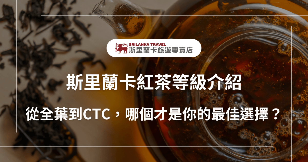 圖片背景為沖泡中的紅茶與乾燥茶葉，搭配白色邊框與主標題「斯里蘭卡紅茶等級介紹」，副標題為「從全葉到CTC，哪個才是你的最佳選擇？」右上角標有「斯里蘭卡旅遊專賣店」LOGO，整體設計專業清晰，強調紅茶品飲等級與選擇攻略，適合用於紅茶介紹、購買建議或飲茶指南相關內容。
