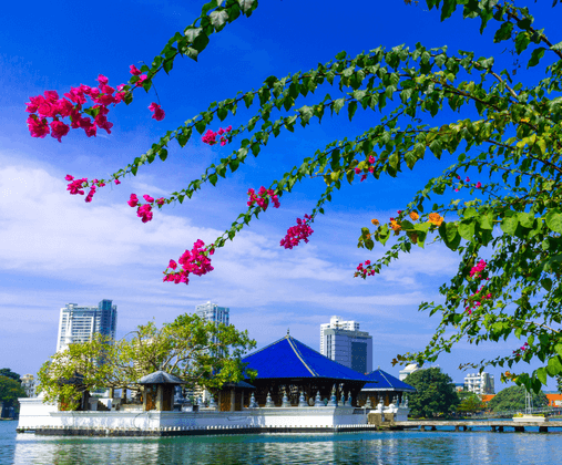 斯里蘭卡水上寺廟 507x420 (1)