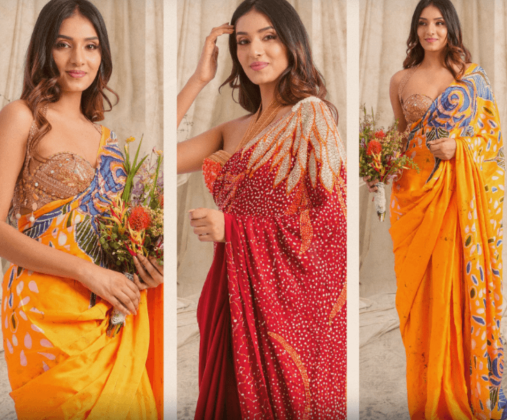 Srilanka sari (1)